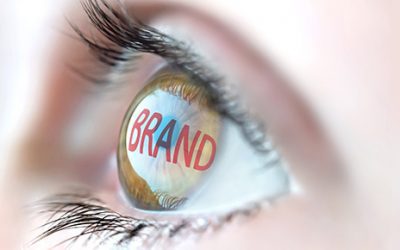 Consumer-Focused Brand Review