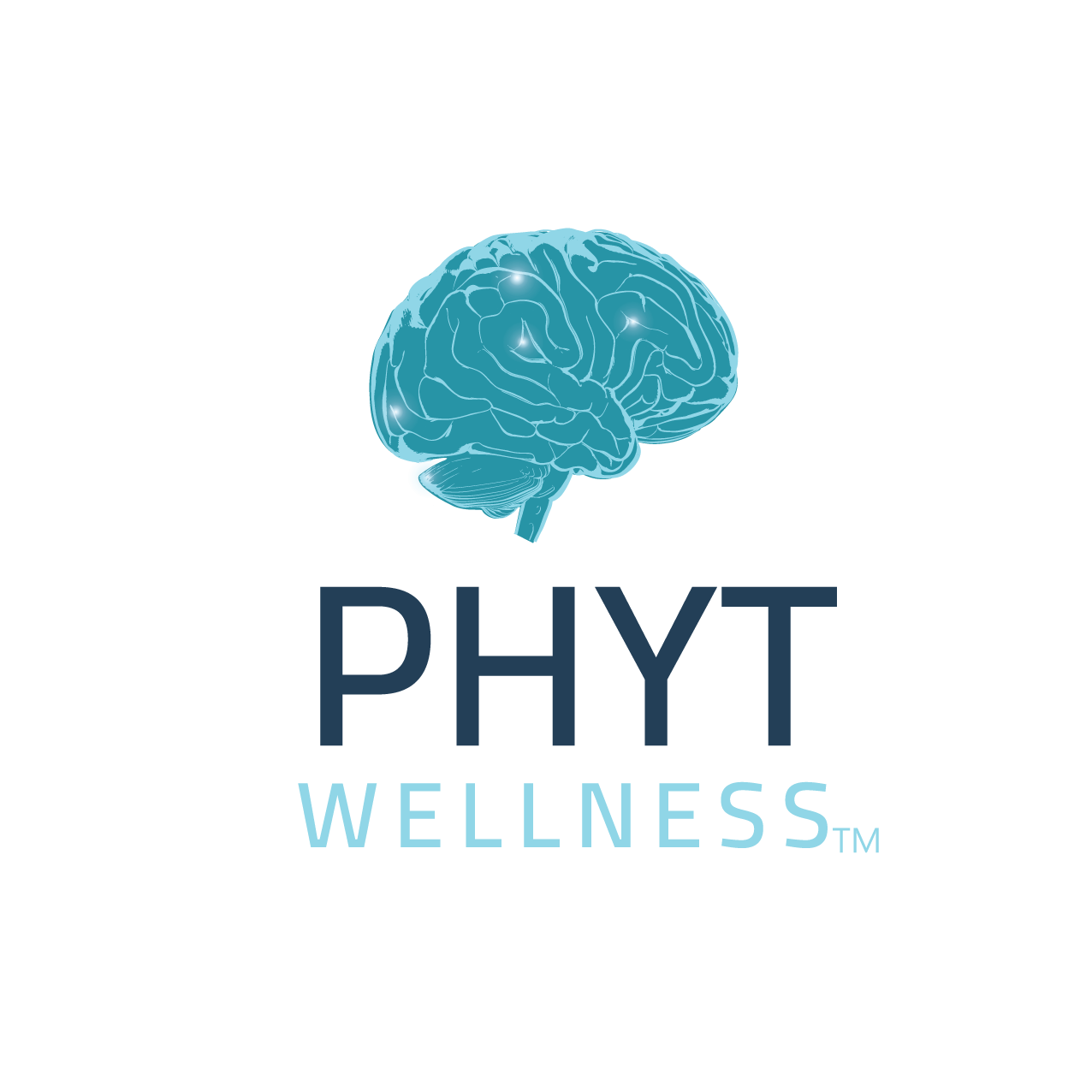 PHYT-logo-h-light-bg Capital Campaign Brochure